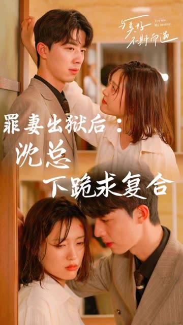 电影：罪妻出狱后：沈总下跪求复合