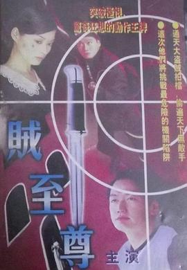电影：贼至尊粤语