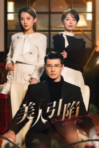 电影：美人引陷