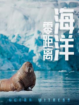 电影：海洋零距离