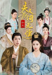 电影：夫人为何如此无情