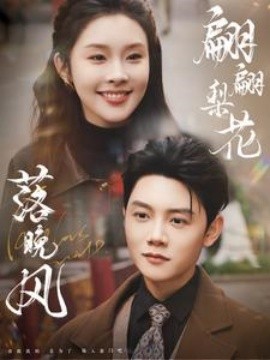 电影：翩翩梨花落晚风