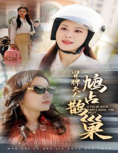 电影：冒牌夫人鸠占鹊巢