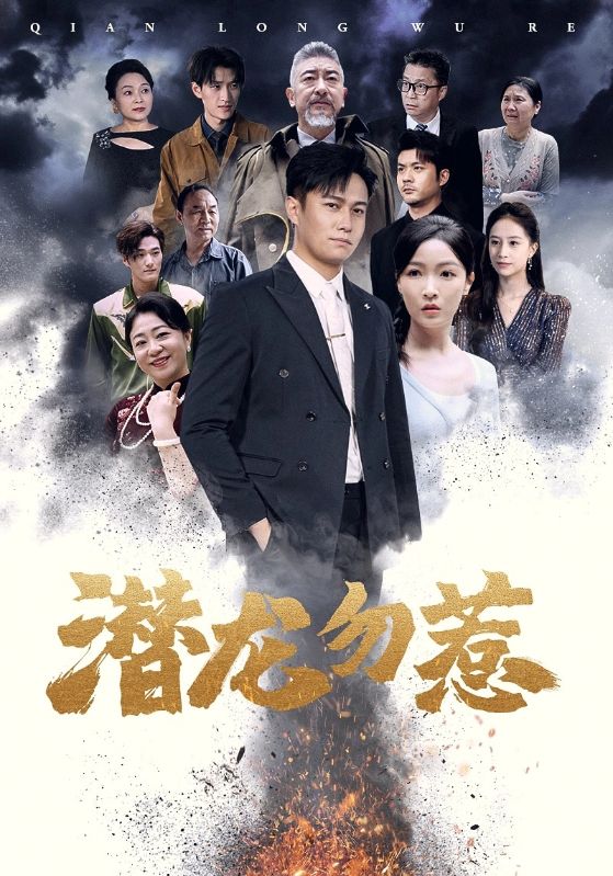 电影：潜龙勿惹