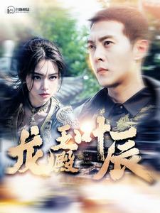 电影：龙王殿叶辰