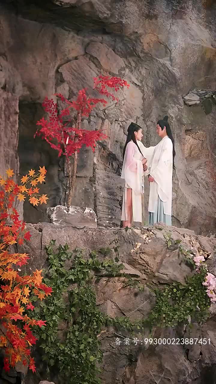 电影：长生帝婿