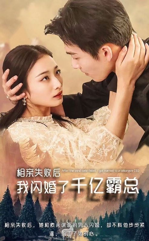 电影：相亲失败，我闪婚了个千亿霸总