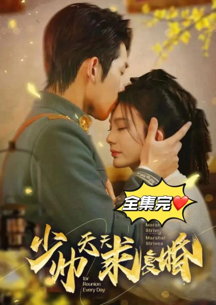 电影：少帅天天求复婚
