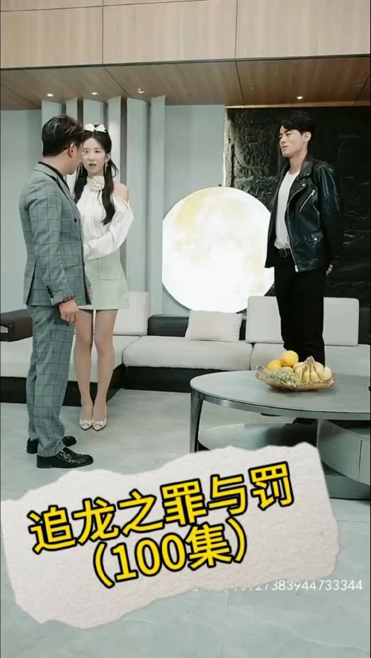 电影：追龙之罪与罚