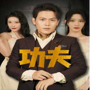 电影：功夫短剧版