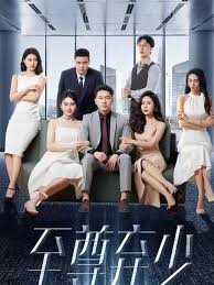 电影：至尊弃少