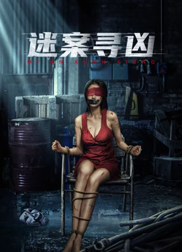 电影：迷案寻凶电影版
