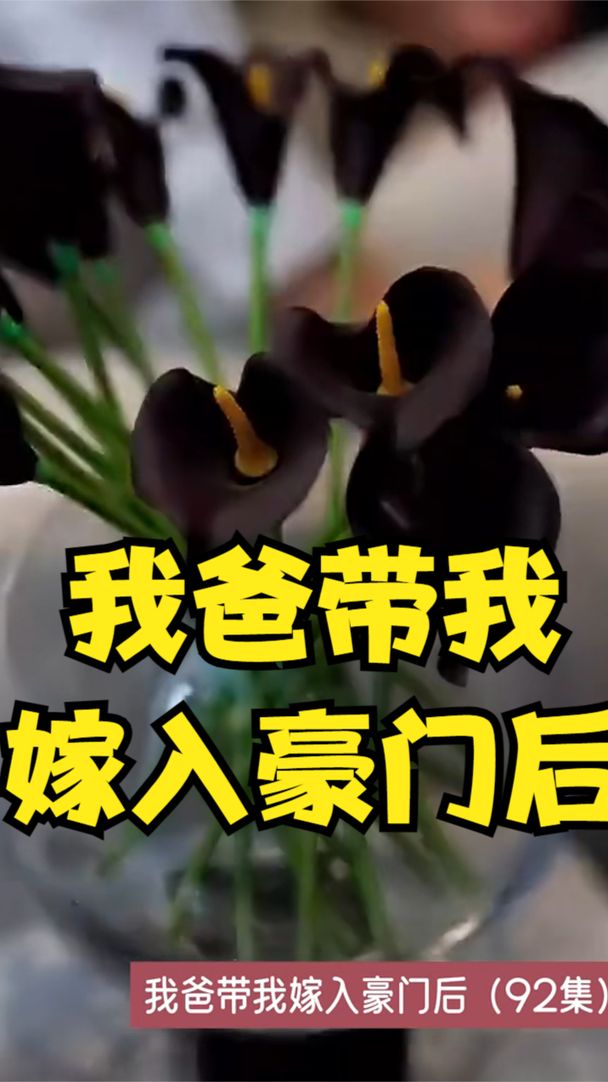 电影：我爸带我嫁入豪门后