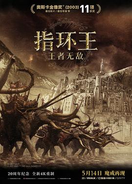 电影：指环王3：王者无敌国语
