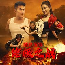 电影：缅北反诈终极之战