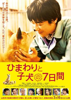 电影：向日葵与幼犬的7天国语