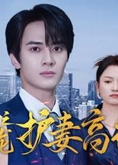 电影：隐龙之护妻高手