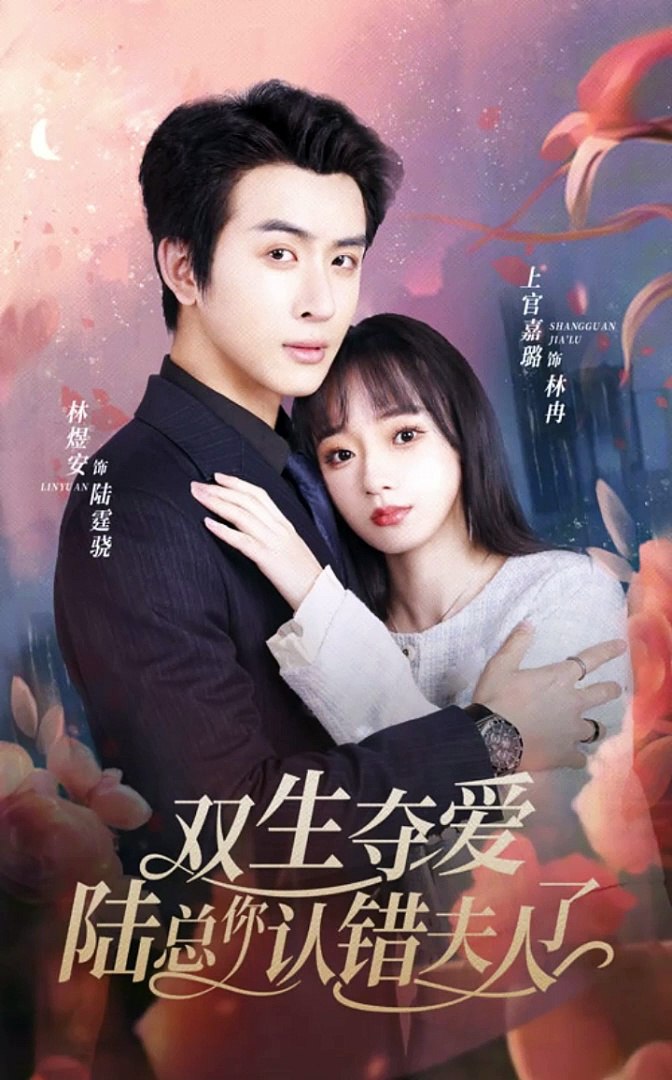 电影：双生夺爱，陆总你认错夫人了