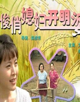 电影：俊俏媳妇开明婆