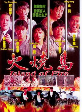 电影：火烧岛粤语