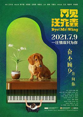 电影：再见汪先森